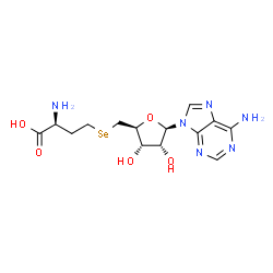 ChemSpider 2D Image | L-adenosylselenohomocysteine | C14H20N6O5Se