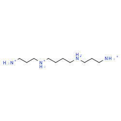 ChemSpider 2D Image | N,N'-Bis(3-ammoniopropyl)-1,4-butanediaminium | C10H30N4