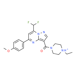 ChemSpider 2D Image | 4-{[7-(Difluoromethyl)-5-(4-methoxyphenyl)pyrazolo[1,5-a]pyrimidin-3-yl]carbonyl}-1-ethylpiperazin-1-ium | C21H24F2N5O2