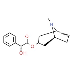 ChemSpider 2D Image | (1R,5S)-8-Methyl-8-azabicyclo[3.2.1]oct-3-yl (2R)-hydroxy(phenyl)acetate | C16H21NO3