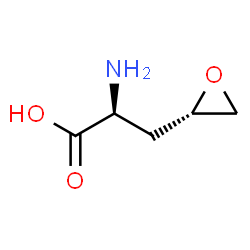 ChemSpider 2D Image | (2S,4S)-2-AMINO-4,5-EPOXIPENTANOIC ACID | C5H9NO3