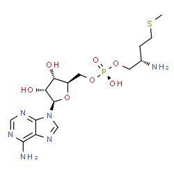 ChemSpider 2D Image | 5'-O-[(R)-[(2S)-2-Amino-4-(methylsulfanyl)butoxy](hydroxy)phosphoryl]adenosine | C15H25N6O7PS