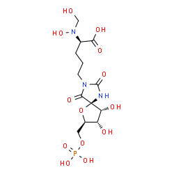 ChemSpider 2D Image | 5-{(5S,7R,8S,9R)-8,9-Dihydroxy-2,4-dioxo-7-[(phosphonooxy)methyl]-6-oxa-1,3-diazaspiro[4.4]non-3-yl}-N-hydroxy-N-(hydroxymethyl)-D-norvaline | C13H22N3O13P