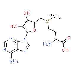 ChemSpider 2D Image | (3-Amino-3-carboxypropyl){[5-(6-amino-9H-purin-9-yl)-3,4-dihydroxytetrahydro-2-furanyl]methyl}(~11~C)methylsulfonium | C1411CH23N6O5S