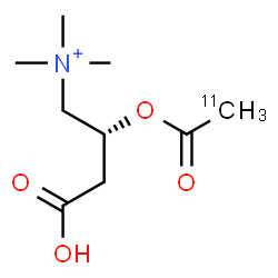 ChemSpider 2D Image | (2R)-3-Carboxy-2-[(2-~11~C)ethanoyloxy]-N,N,N-trimethyl-1-propanaminium | C811CH18NO4