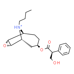 ChemSpider 2D Image | (1R,3R,6S,7R,9S)-10-Butyl-3-{[(2S)-3-hydroxy-2-phenylpropanoyl]oxy}-8-oxa-10-azoniatricyclo[4.3.1.0~7,9~]decane | C21H30NO4
