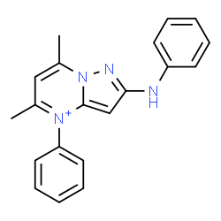 ChemSpider 2D Image | 2-Anilino-5,7-dimethyl-4-phenylpyrazolo[1,5-a]pyrimidin-4-ium | C20H19N4