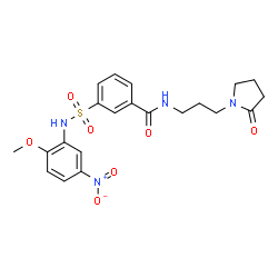 ChemSpider 2D Image | 3-[(2-Methoxy-5-nitrophenyl)sulfamoyl]-N-[3-(2-oxo-1-pyrrolidinyl)propyl]benzamide | C21H24N4O7S