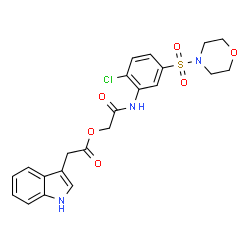 ChemSpider 2D Image | 2-{[2-Chloro-5-(4-morpholinylsulfonyl)phenyl]amino}-2-oxoethyl 1H-indol-3-ylacetate | C22H22ClN3O6S