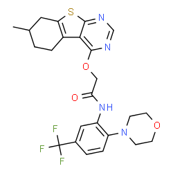 ChemSpider 2D Image | 2-[(7-Methyl-5,6,7,8-tetrahydro[1]benzothieno[2,3-d]pyrimidin-4-yl)oxy]-N-[2-(4-morpholinyl)-5-(trifluoromethyl)phenyl]acetamide | C24H25F3N4O3S