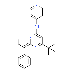 ChemSpider 2D Image | 5-(2-Methyl-2-propanyl)-3-phenyl-N-(4-pyridinyl)pyrazolo[1,5-a]pyrimidin-7-amine | C21H21N5