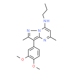 ChemSpider 2D Image | 3-(3,4-Dimethoxyphenyl)-2,5-dimethyl-N-propylpyrazolo[1,5-a]pyrimidin-7-amine | C19H24N4O2