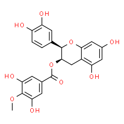 ChemSpider 2D Image | (-)-ECG-4''-O-ME | C23H20O10