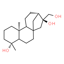 ChemSpider 2D Image | (5R,9S,13S,14S)-14-(Hydroxymethyl)-5,9-dimethyltetracyclo[11.2.1.0~1,10~.0~4,9~]hexadecane-5,14-diol | C19H32O3
