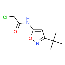 ChemSpider 2D Image | N-(3-tert-Butyl-isoxazol-5-yl)-2-chloro-acetamide | C9H13ClN2O2
