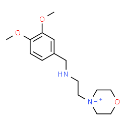 ChemSpider 2D Image | 4-{2-[(3,4-Dimethoxybenzyl)amino]ethyl}morpholin-4-ium | C15H25N2O3