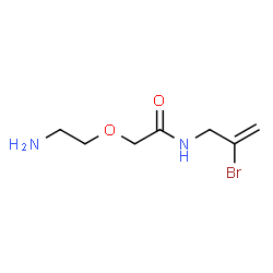 ChemSpider 2D Image | 2-(2-Aminoethoxy)-N-(2-bromo-2-propen-1-yl)acetamide | C7H13BrN2O2