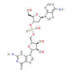 ChemSpider 2D Image | [(2R,3S,4R,5R)-5-(2-amino-6-oxo-3H-purin-9-yl)-3,4-dihydroxy-tetrahydrofuran-2-yl]methyl [(2R,5R)-5-(6-aminopurin-9-yl)-2-(hydroxymethyl)tetrahydrofuran-3-yl] hydrogen phosphate | C20H25N10O10P