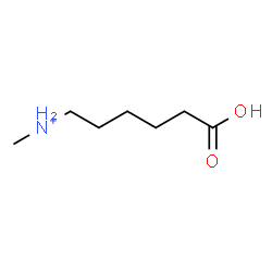 ChemSpider 2D Image | 5-Carboxy-N-methyl-1-pentanaminium | C7H16NO2