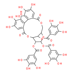 ChemSpider 2D Image | 6,7,8,11,12,13-Hexahydroxy-3,16-dioxo-2,17,20-trioxatetracyclo[17.3.1.0~4,9~.0~10,15~]tricosa-4,6,8,10,12,14-hexaene-21,22,23-triyl tris(3,4,5-trihydroxybenzoate) | C41H30O26