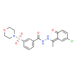 ChemSpider 2D Image | N'-[(1Z)-1-(3-Chloro-6-oxo-2,4-cyclohexadien-1-ylidene)ethyl]-3-(4-morpholinylsulfonyl)benzohydrazide | C19H20ClN3O5S