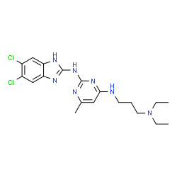ChemSpider 2D Image | N~2~-(5,6-Dichloro-1H-benzimidazol-2-yl)-N~4~-[3-(diethylamino)propyl]-6-methyl-2,4-pyrimidinediamine | C19H25Cl2N7