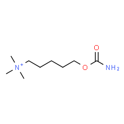 ChemSpider 2D Image | 5-(Carbamoyloxy)-N,N,N-trimethyl-1-pentanaminium | C9H21N2O2