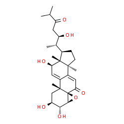 ChemSpider 2D Image | (2beta,3alpha,4beta,5beta,12beta,22R)-2,3,12,22-Tetrahydroxy-14-methyl-4,5-epoxycholesta-7,9(11)-diene-6,24-dione | C28H40O7