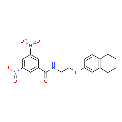 ChemSpider 2D Image | 3,5-Dinitro-N-[2-(5,6,7,8-tetrahydro-2-naphthalenyloxy)ethyl]benzamide | C19H19N3O6