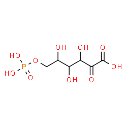 ChemSpider 2D Image | 6-O-Phosphonohex-2-ulosonic acid | C6H11O10P