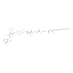 ChemSpider 2D Image | S-{1-[5-(6-Amino-9H-purin-9-yl)-4-hydroxy-3-(phosphonooxy)tetrahydro-2-furanyl]-3,5,9-trihydroxy-8,8-dimethyl-3,5-dioxido-10,14-dioxo-2,4,6-trioxa-11,15-diaza-3lambda~5~,5lambda~5~-diphosphaheptadecan
-17-yl} 3-hydroxydodecanethioate | C33H58N7O18P3S