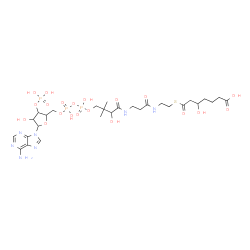 ChemSpider 2D Image | 1-[5-(6-Amino-9H-purin-9-yl)-4-hydroxy-3-(phosphonooxy)tetrahydro-2-furanyl]-3,5,9,21-tetrahydroxy-8,8-dimethyl-10,14,19-trioxo-2,4,6-trioxa-18-thia-11,15-diaza-3,5-diphosphapentacosan-25-oic acid 3,5
-dioxide | C28H46N7O20P3S