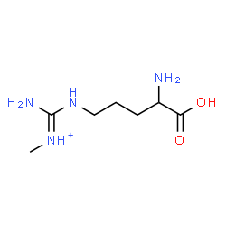 ChemSpider 2D Image | (E)-Amino[(4-amino-4-carboxybutyl)amino]-N-methylmethaniminium | C7H17N4O2