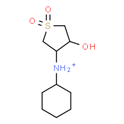 ChemSpider 2D Image | N-Cyclohexyl-4-hydroxytetrahydro-3-thiophenaminium 1,1-dioxide | C10H20NO3S