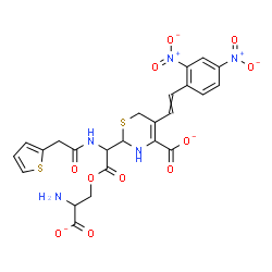 ChemSpider 2D Image | 2-{2-(2-Amino-2-carboxylatoethoxy)-2-oxo-1-[(2-thienylacetyl)amino]ethyl}-5-[2-(2,4-dinitrophenyl)vinyl]-3,6-dihydro-2H-1,3-thiazine-4-carboxylate | C24H21N5O11S2