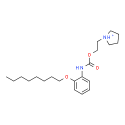 ChemSpider 2D Image | 1-[2-({[2-(Octyloxy)phenyl]carbamoyl}oxy)ethyl]pyrrolidinium | C21H35N2O3