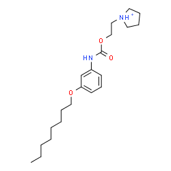 ChemSpider 2D Image | 1-[2-({[3-(Octyloxy)phenyl]carbamoyl}oxy)ethyl]pyrrolidinium | C21H35N2O3
