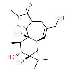 ChemSpider 2D Image | (1aR,1bS,4aR,7aR,7bR,8R,9R,9aS)-7b,9,9a-Trihydroxy-3-(hydroxymethyl)-1,1,6,8-tetramethyl-1,1a,1b,4,4a,7a,7b,8,9,9a-decahydro-5H-cyclopropa[3,4]benzo[1,2-e]azulen-5-one | C20H28O5