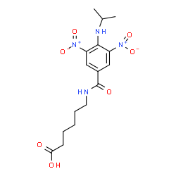 ChemSpider 2D Image | 6-{[4-(Isopropylamino)-3,5-dinitrobenzoyl]amino}hexanoic acid | C16H22N4O7