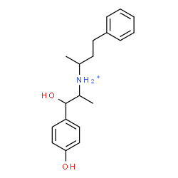 ChemSpider 2D Image | N-[1-Hydroxy-1-(4-hydroxyphenyl)-2-propanyl]-4-phenyl-2-butanaminium | C19H26NO2