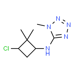 ChemSpider 2D Image | N-(3-Chloro-2,2-dimethylcyclobutyl)-1-methyl-1H-tetrazol-5-amine | C8H14ClN5