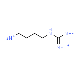 ChemSpider 2D Image | 4-{[Ammonio(imino)methyl]amino}-1-butanaminium | C5H16N4