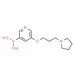 ChemSpider 2D Image | {5-[3-(1-Pyrrolidinyl)propoxy]-3-pyridinyl}boronic acid | C12H19BN2O3