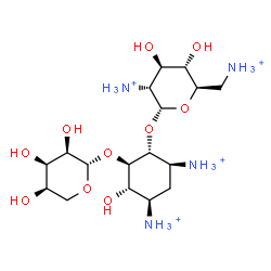 ChemSpider 2D Image | (1R,2R,3S,4R,6S)-4,6-Diammonio-3-hydroxy-2-(beta-D-ribopyranosyloxy)cyclohexyl 2,6-diammonio-2,6-dideoxy-alpha-D-glucopyranoside | C17H38N4O10