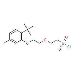 ChemSpider 2D Image | 2-{2-[5-Methyl-2-(2-methyl-2-propanyl)phenoxy]ethoxy}ethanesulfonyl chloride | C15H23ClO4S