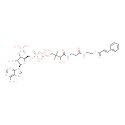 ChemSpider 2D Image | S-{1-[(2R,3S,4R,5R)-5-(6-Amino-9H-purin-9-yl)-4-hydroxy-3-(phosphonooxy)tetrahydro-2-furanyl]-3,5,9-trihydroxy-8,8-dimethyl-3,5-dioxido-10,14-dioxo-2,4,6-trioxa-11,15-diaza-3lambda~5~,5lambda~5~-dipho
sphaheptadecan-17-yl} (2E)-3-phenyl-2-propenethioate | C30H42N7O17P3S