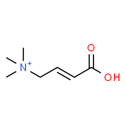 ChemSpider 2D Image | (2E)-3-Carboxy-N,N,N-trimethyl-2-propen-1-aminium | C7H14NO2