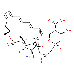 ChemSpider 2D Image | (1R,3S,5R,7R,8E,12R,22R,24S,25R,26S)-22-[(3-Amino-3,6-dideoxy-D-mannopyranosyl)oxy]-1,3,26-trihydroxy-12-methyl-10-oxo-6,11,28-trioxatricyclo[22.3.1.0~5,7~]octacosa-8,14,16,18,20-pentaene-25-carboxyli
c acid | C33H47NO13