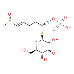ChemSpider 2D Image | 1-S-[(4E)-5-(Methylsulfinyl)-N-(sulfooxy)-4-pentenimidoyl]-1-thio-beta-D-glucopyranose | C12H21NO10S3