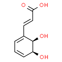 ChemSpider 2D Image | (E)-3-[(5S,6R)-5,6-dihydroxycyclohexa-1,3-dienyl]acrylic acid | C9H10O4